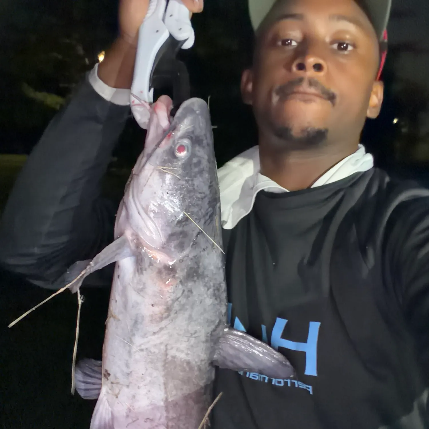 Blue catfish caught on Fishbrain