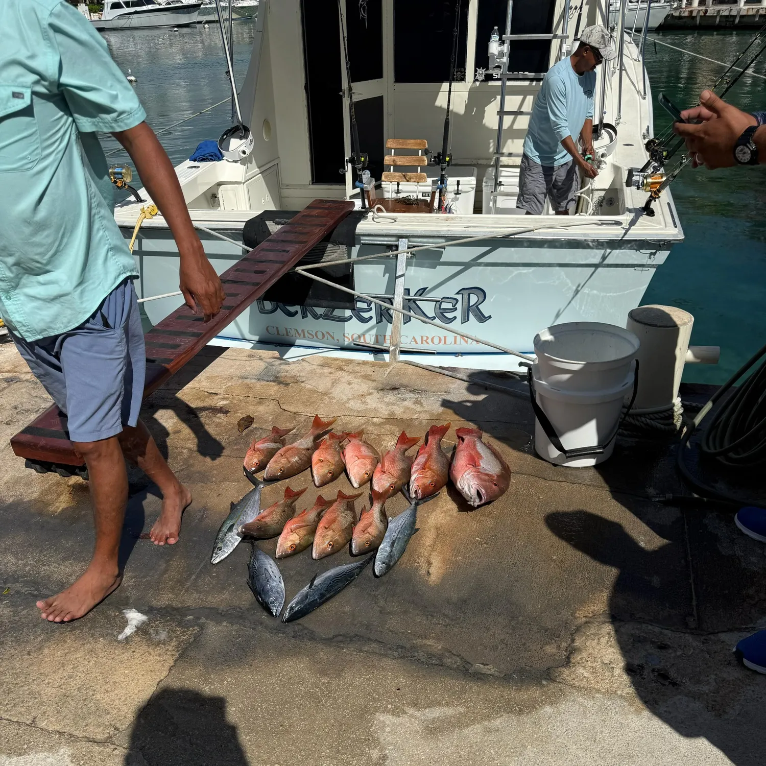 The most recent Northern red snapper catches on Fishbrain