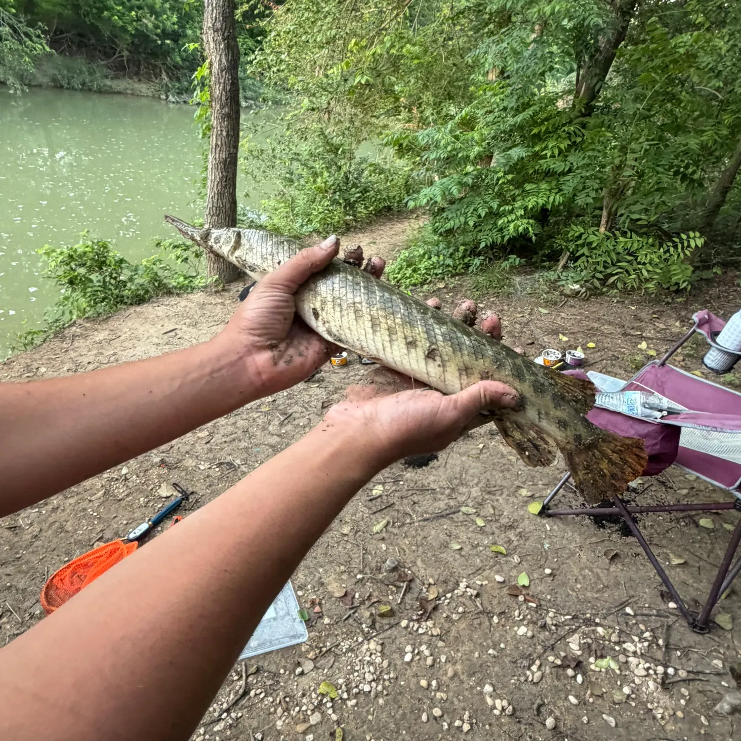 catch