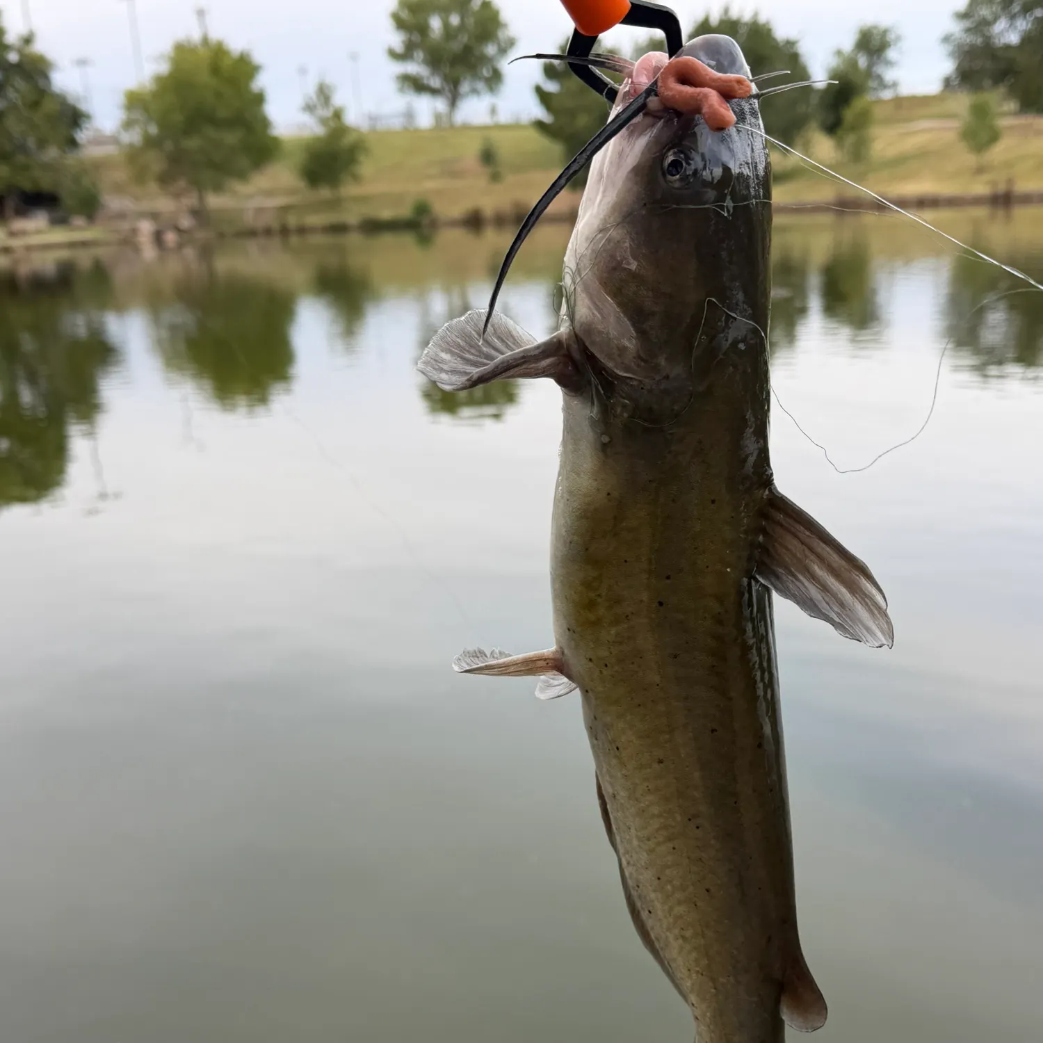 catch