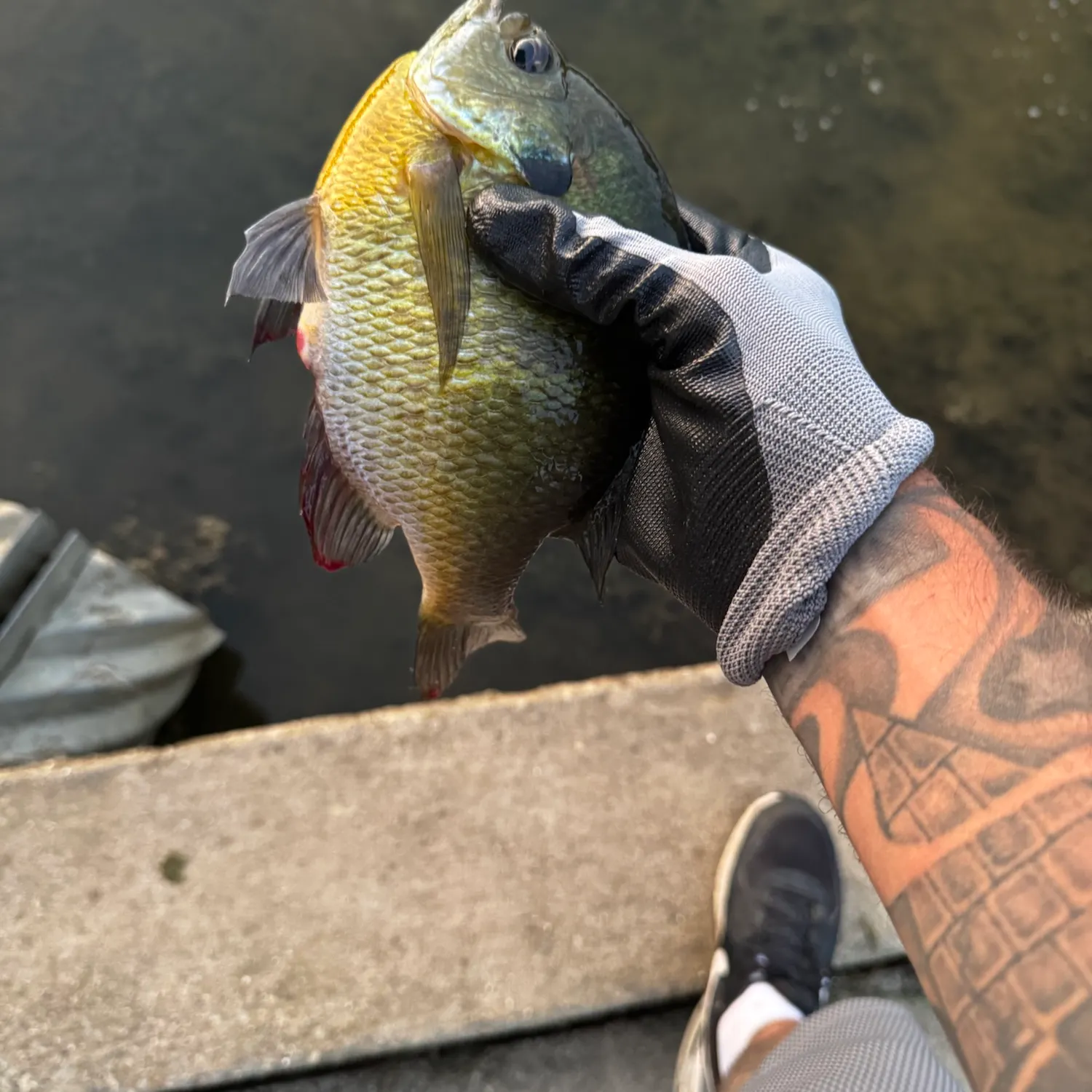 catch