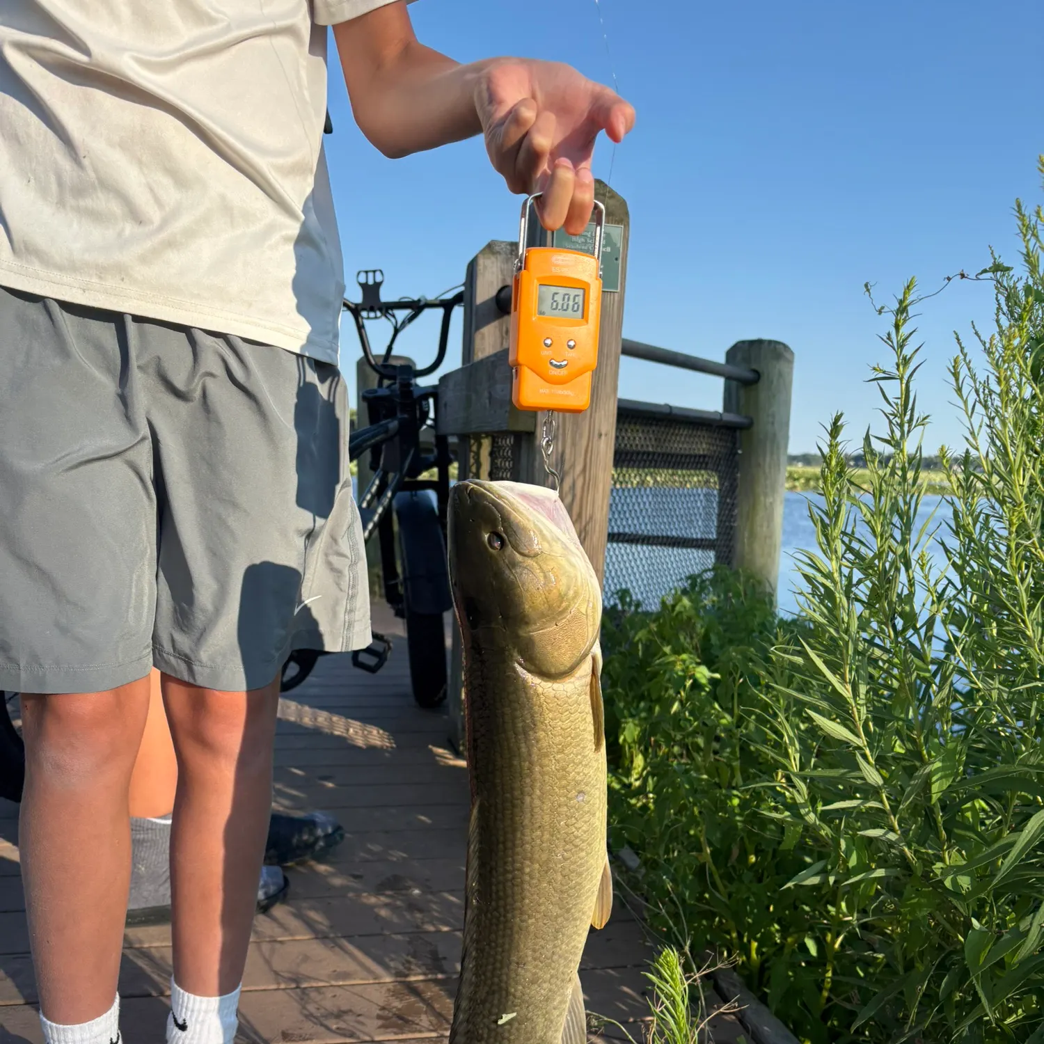 catch