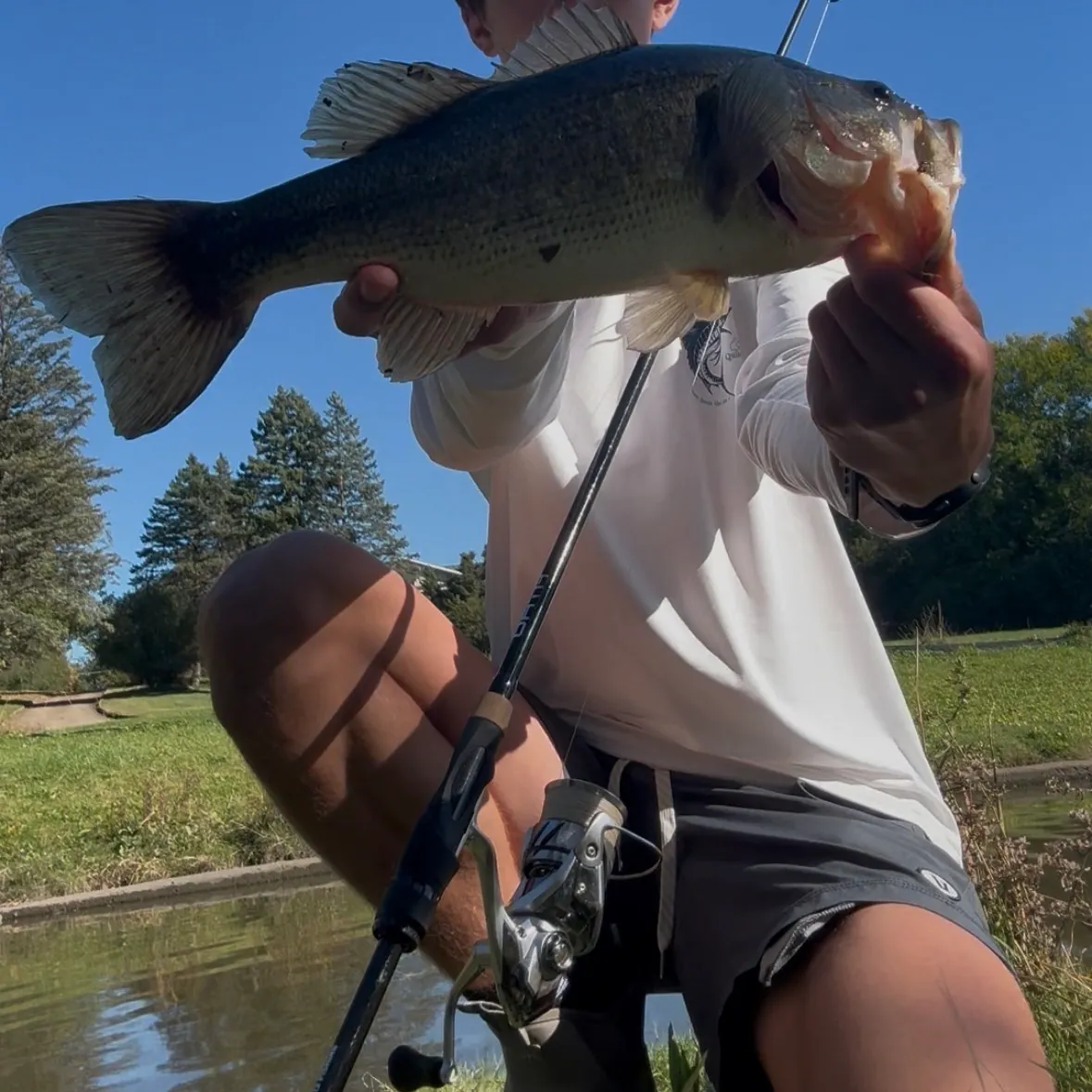 Largemouth bass caught on Fishbrain