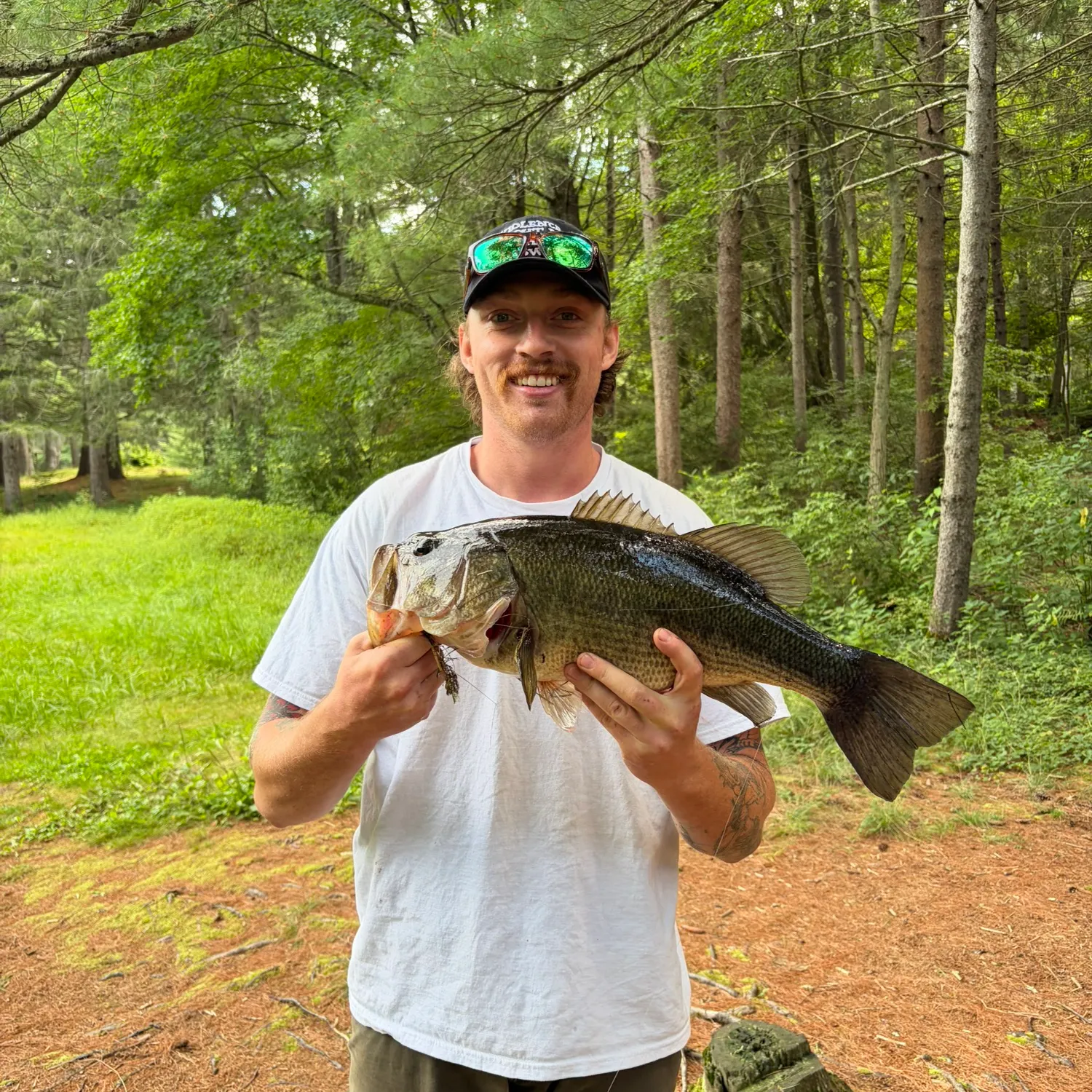 Largemouth bass caught on Fishbrain