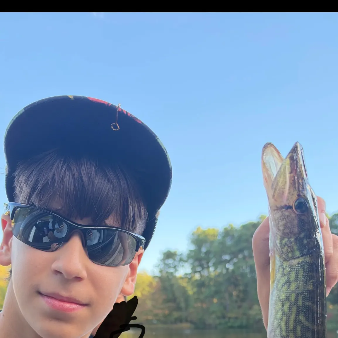 Chain pickerel caught on Fishbrain
