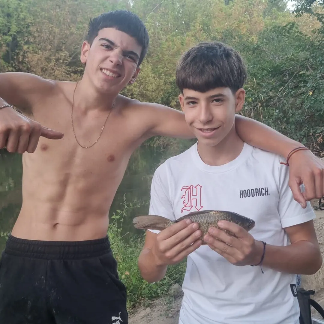 Common barbel caught on Fishbrain