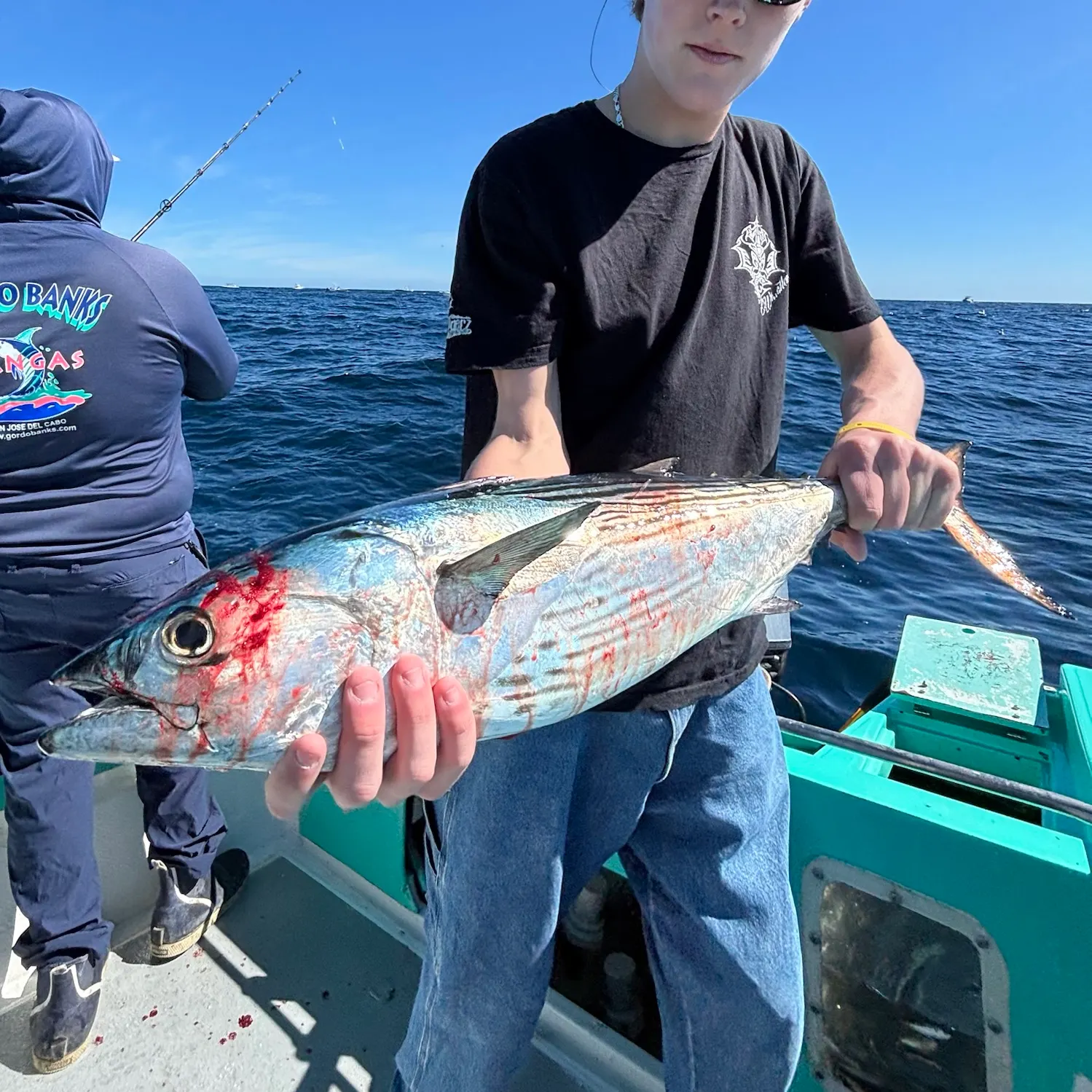 Skipjack tuna caught on Fishbrain