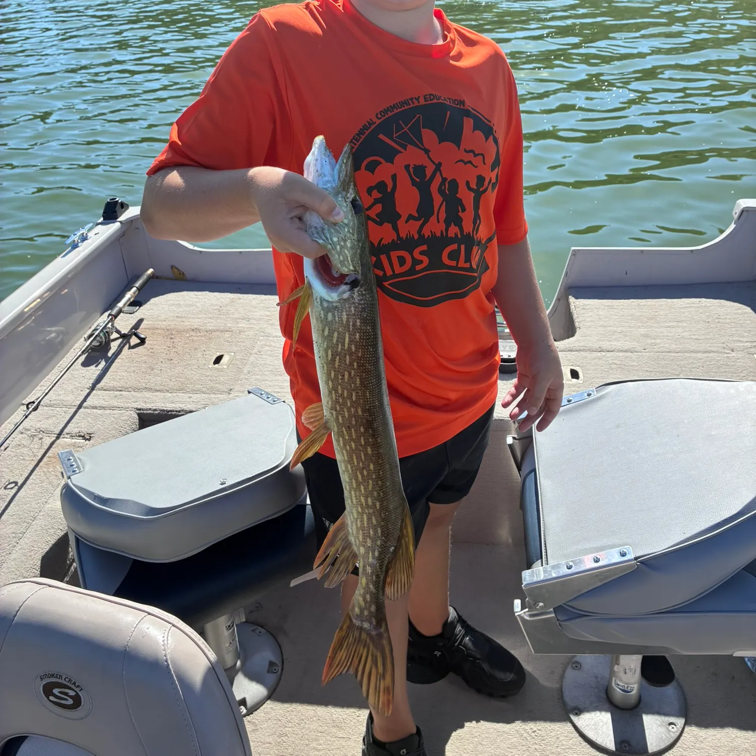 Northern pike caught on Fishbrain