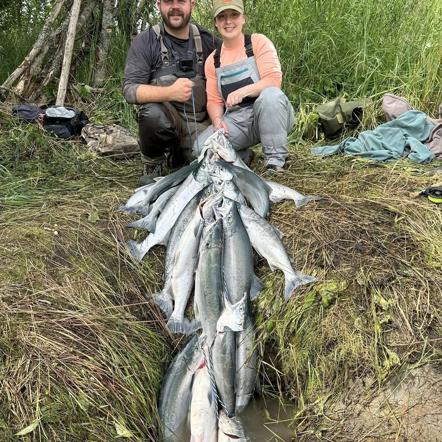 The most recent Sockeye salmon catches on Fishbrain