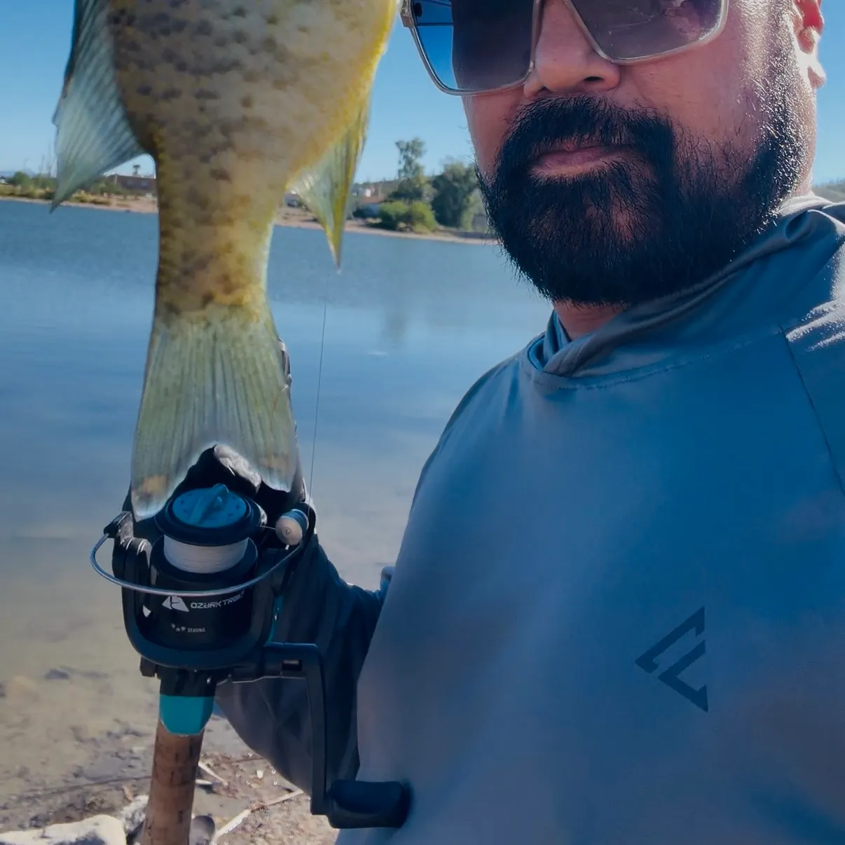 Bluegill caught on Fishbrain