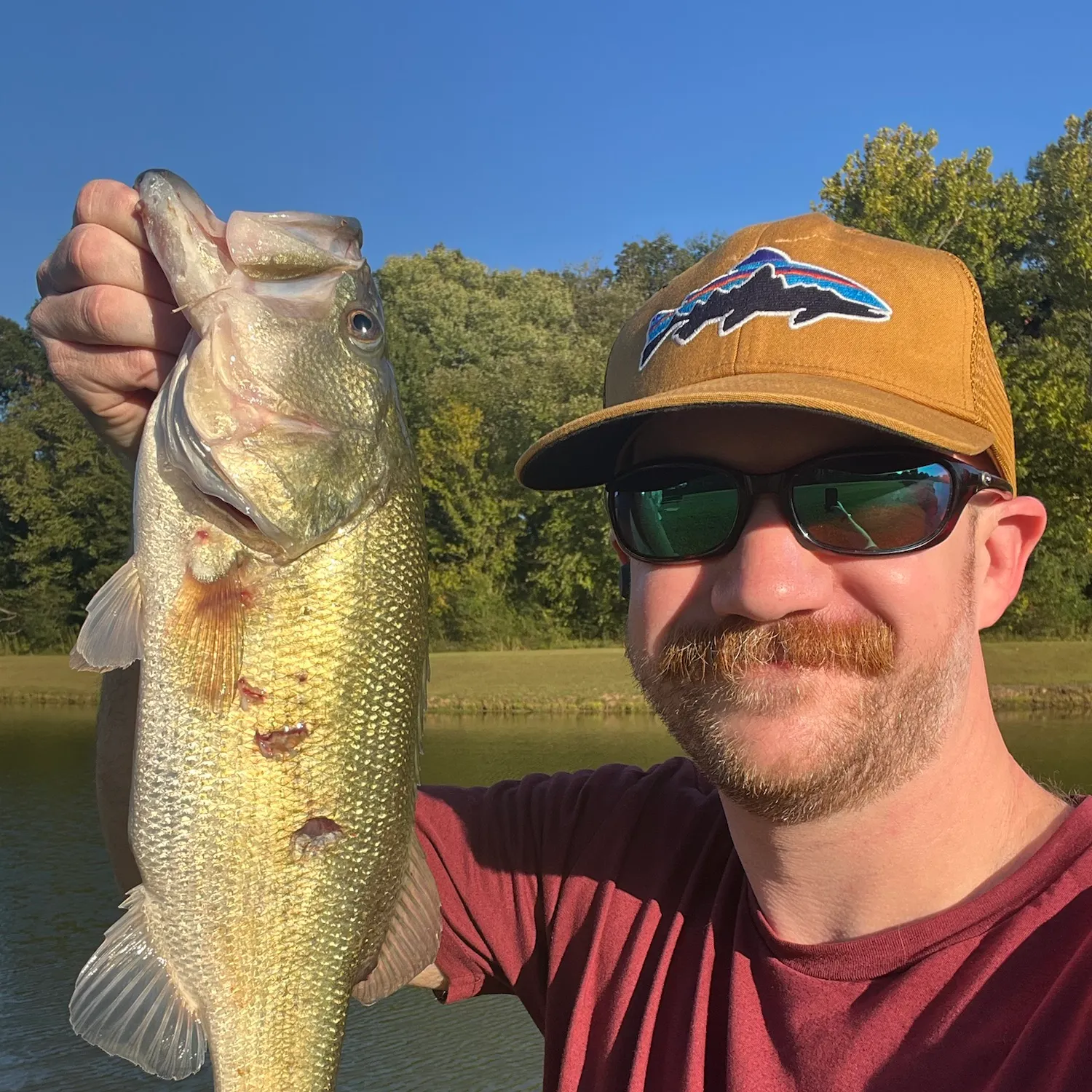 Largemouth bass caught on Fishbrain