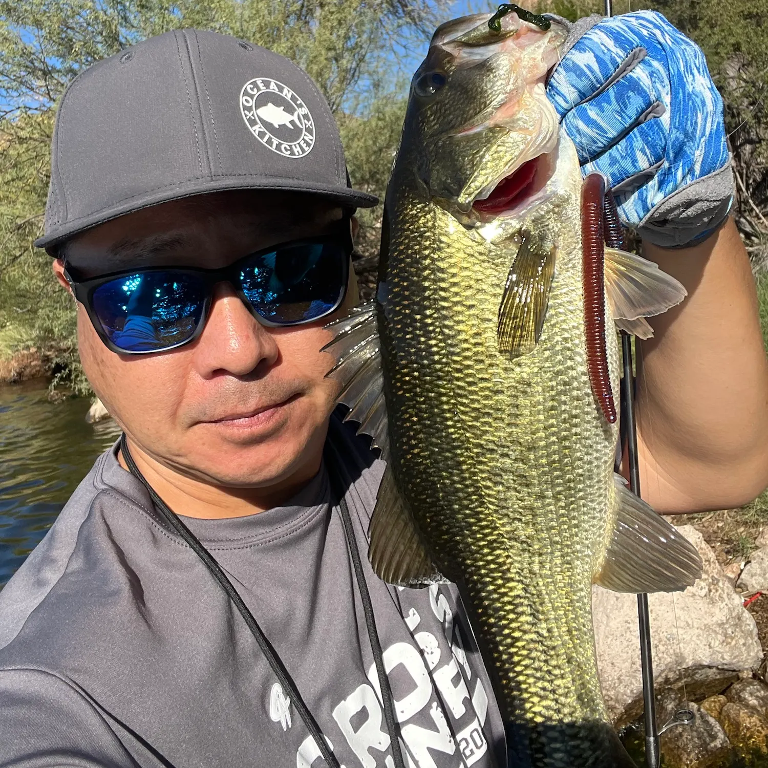 Largemouth bass caught on Fishbrain