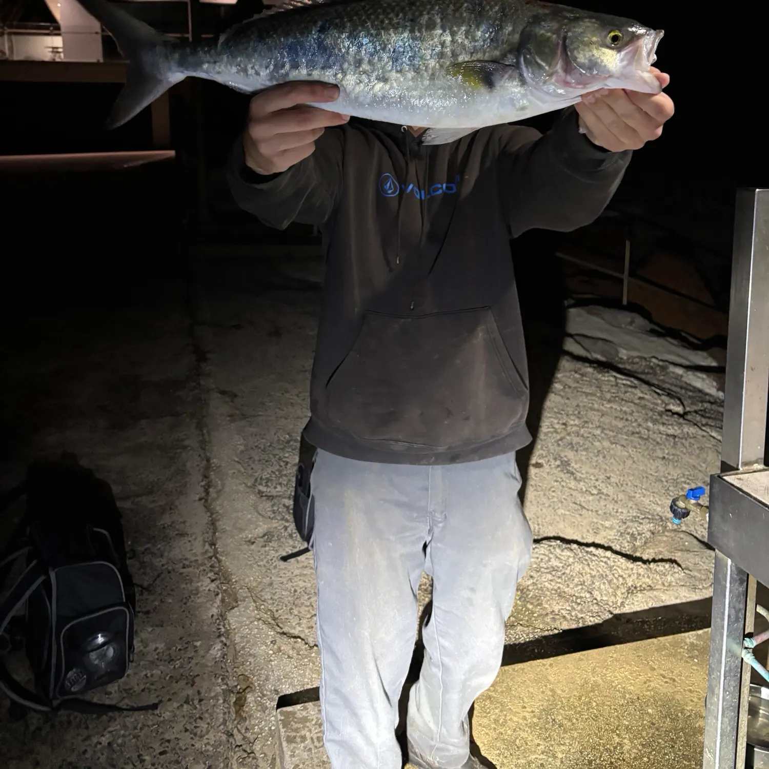 The most recent Western Australian salmon catches on Fishbrain