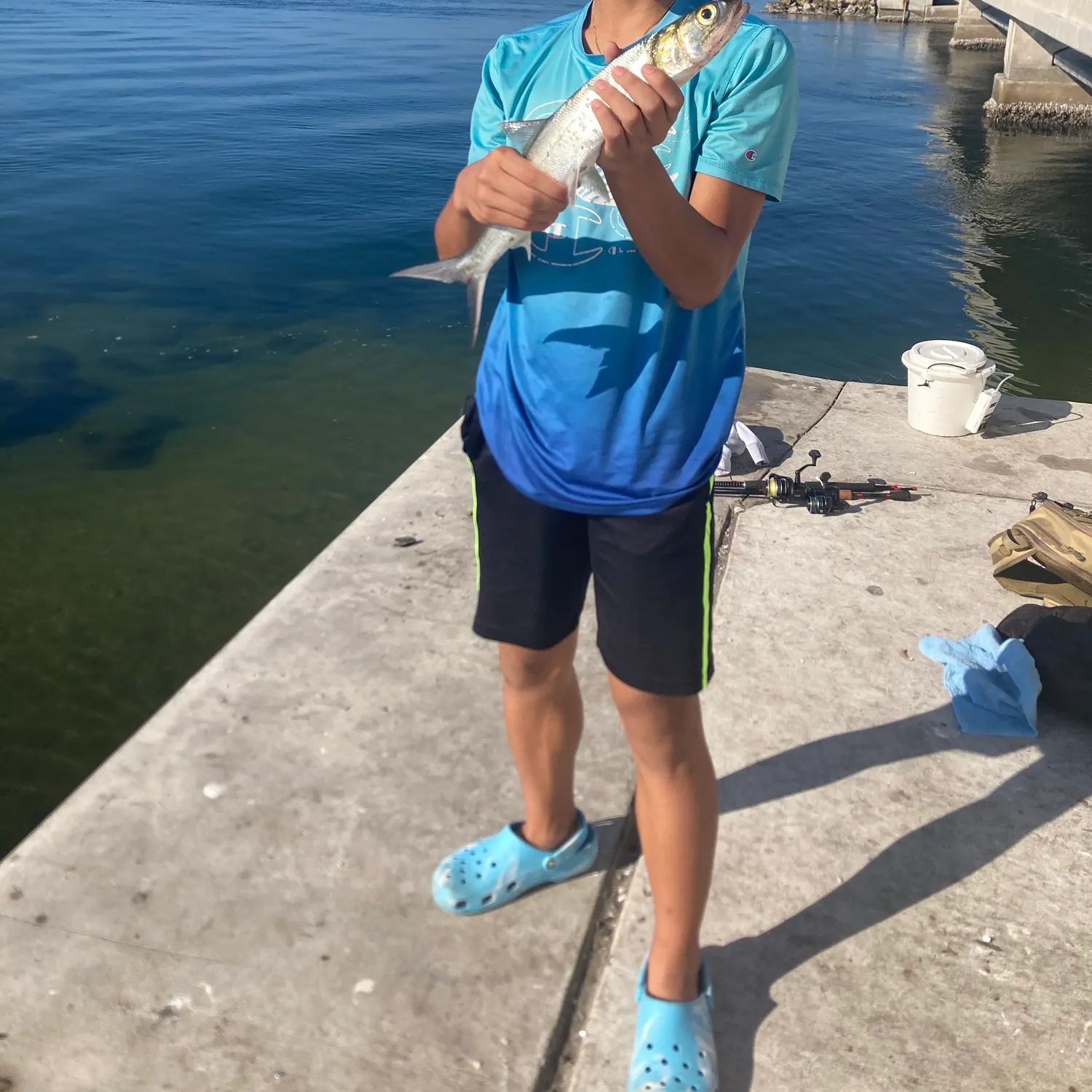 The most recent Ladyfish catches on Fishbrain