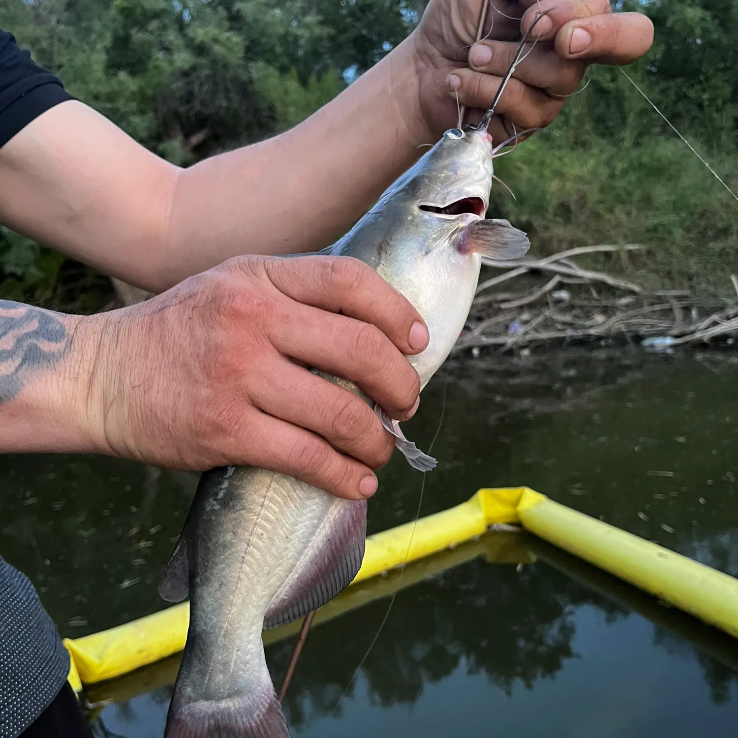 catch