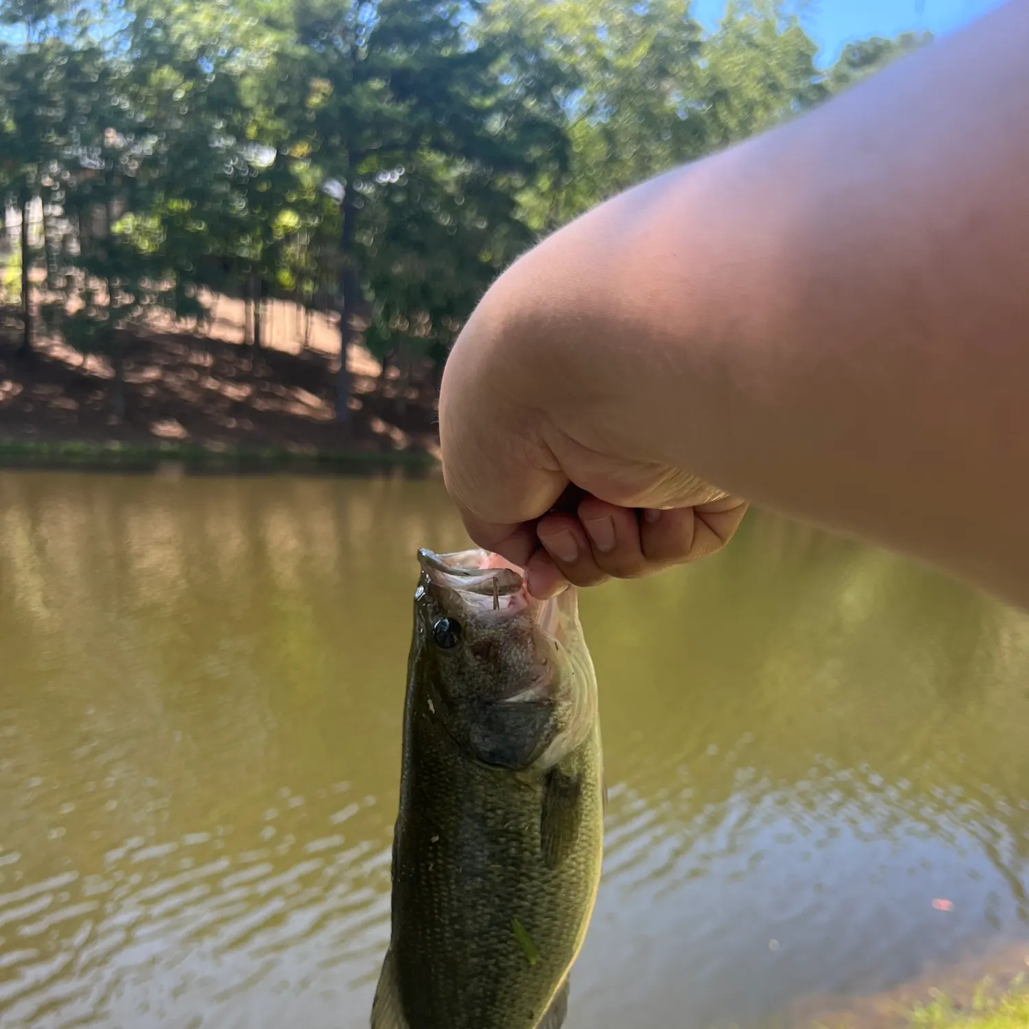 angler catch