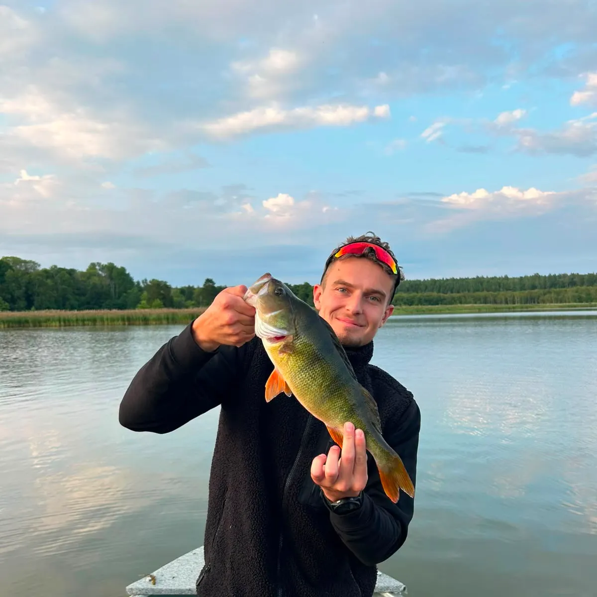 European perch caught on Fishbrain