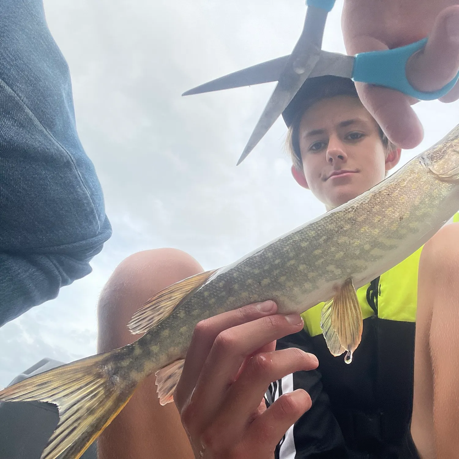 Northern pike caught on Fishbrain