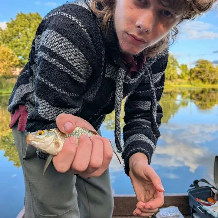 Common roach caught on Fishbrain