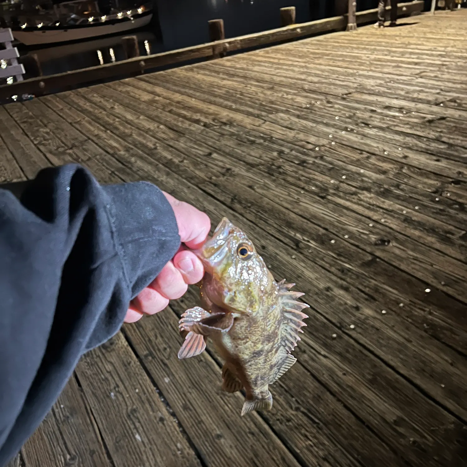 catch