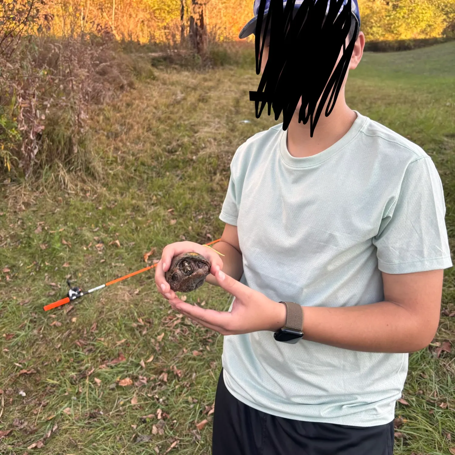 Pond slider turtle caught on Fishbrain