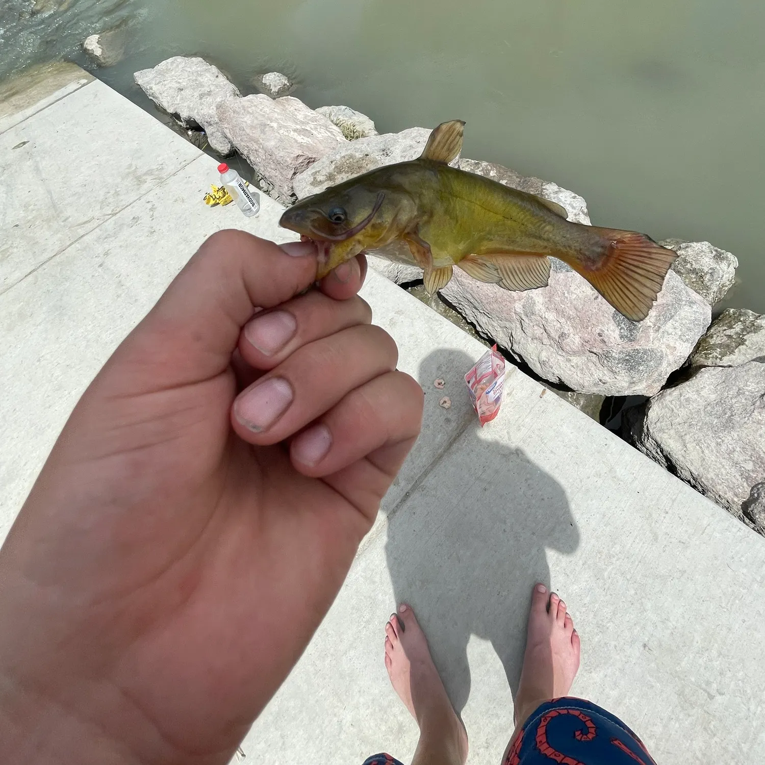 catch