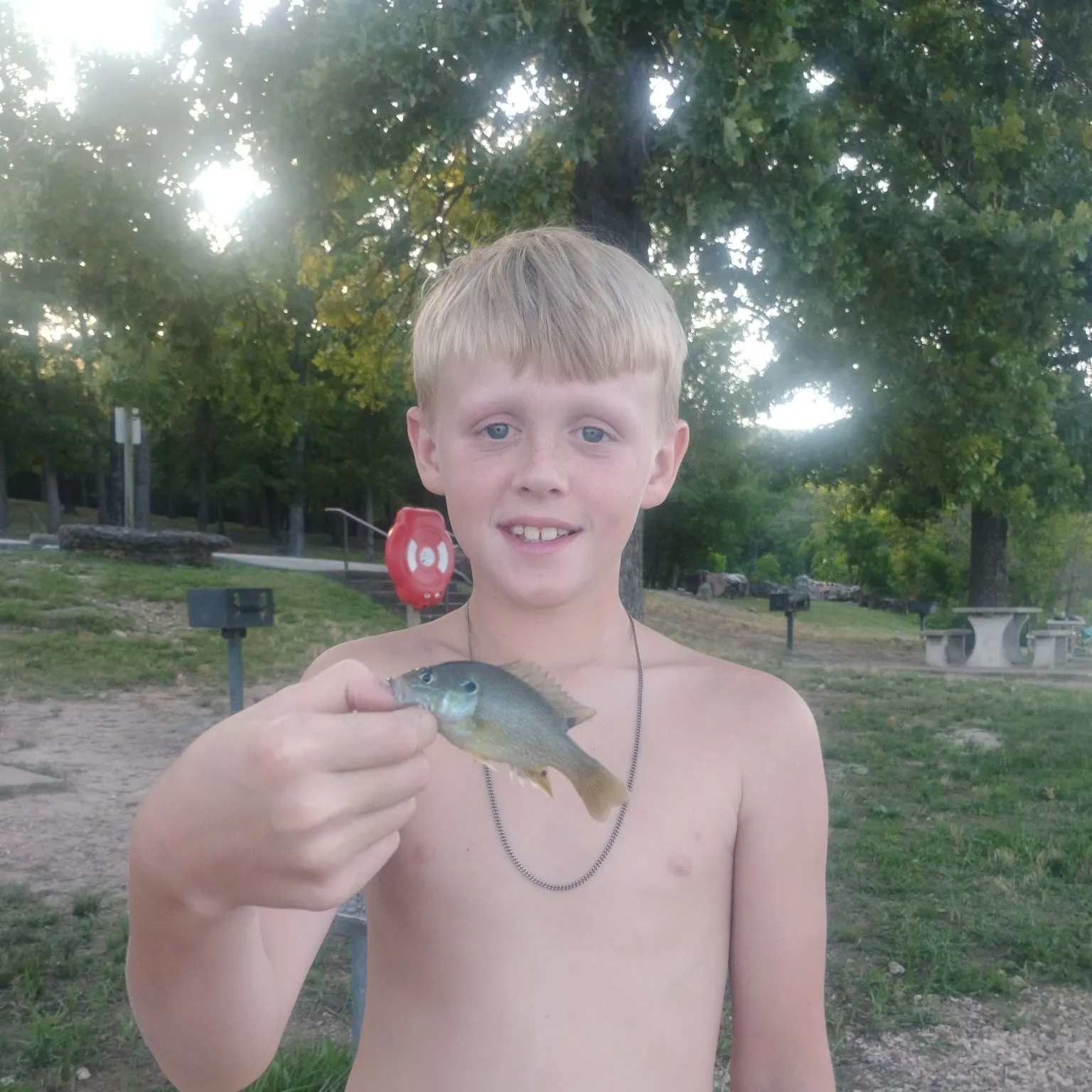 The most recent Paddlefish catches on Fishbrain