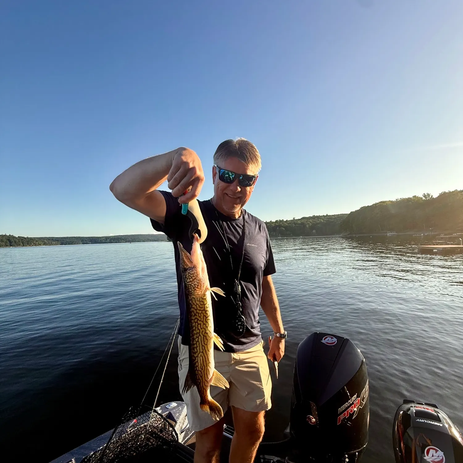 Chain pickerel caught on Fishbrain