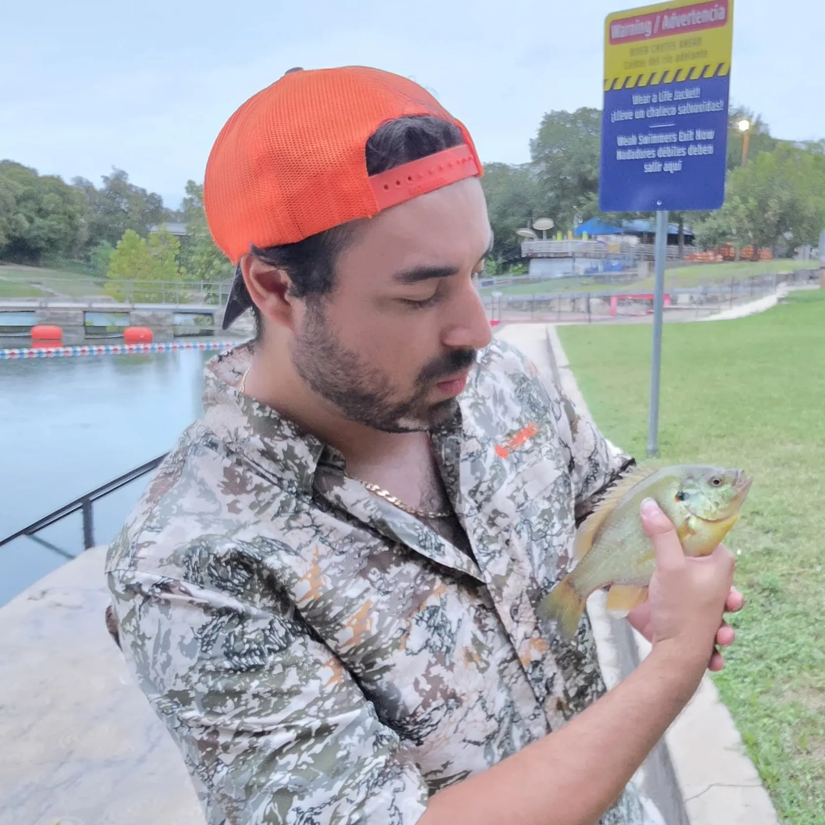Spotted sunfish caught on Fishbrain