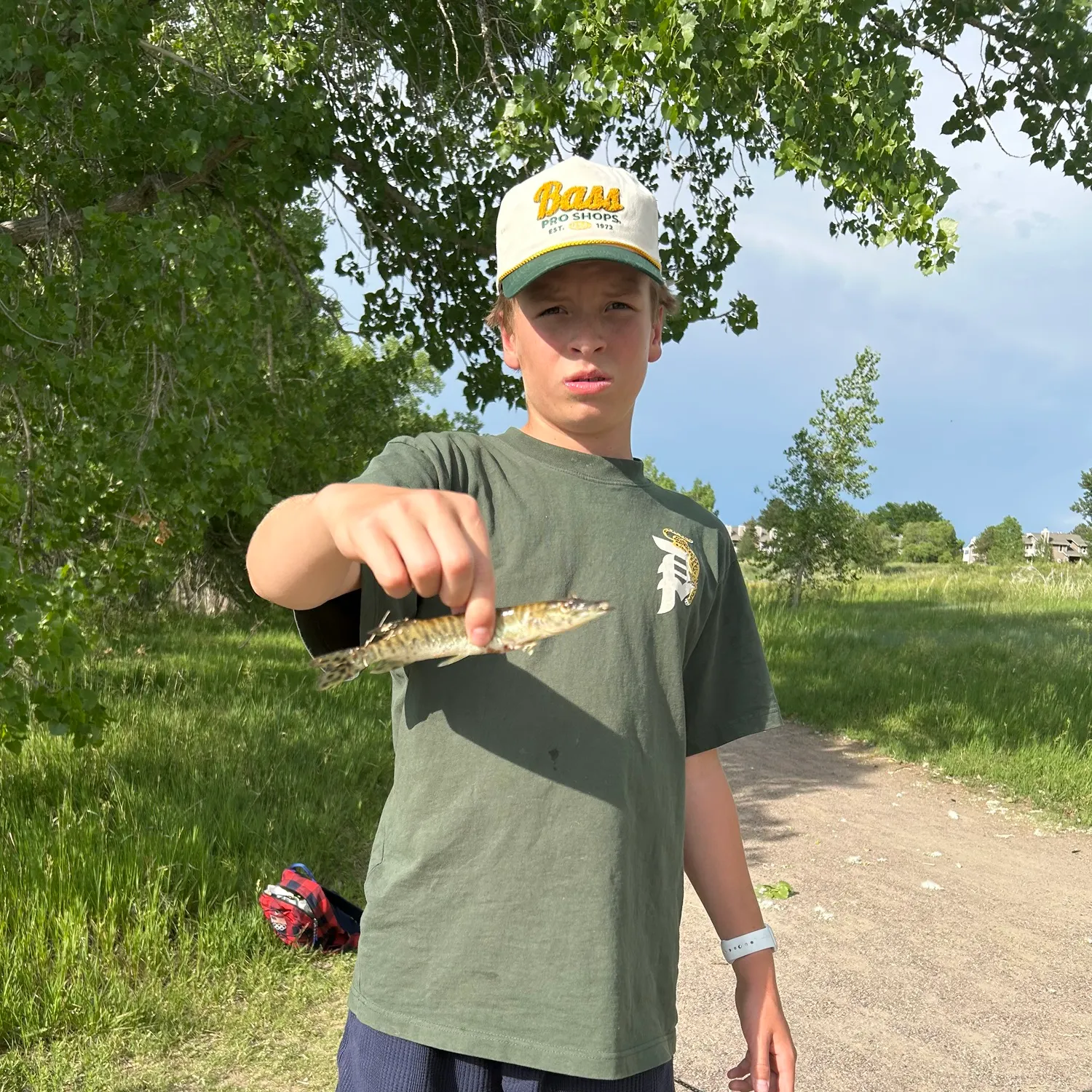 catch