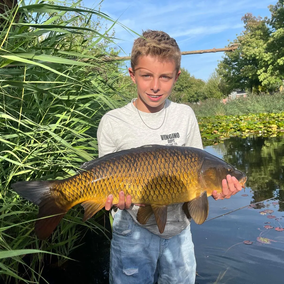 Common carp caught on Fishbrain