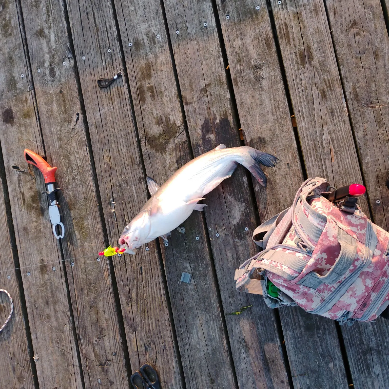 catch