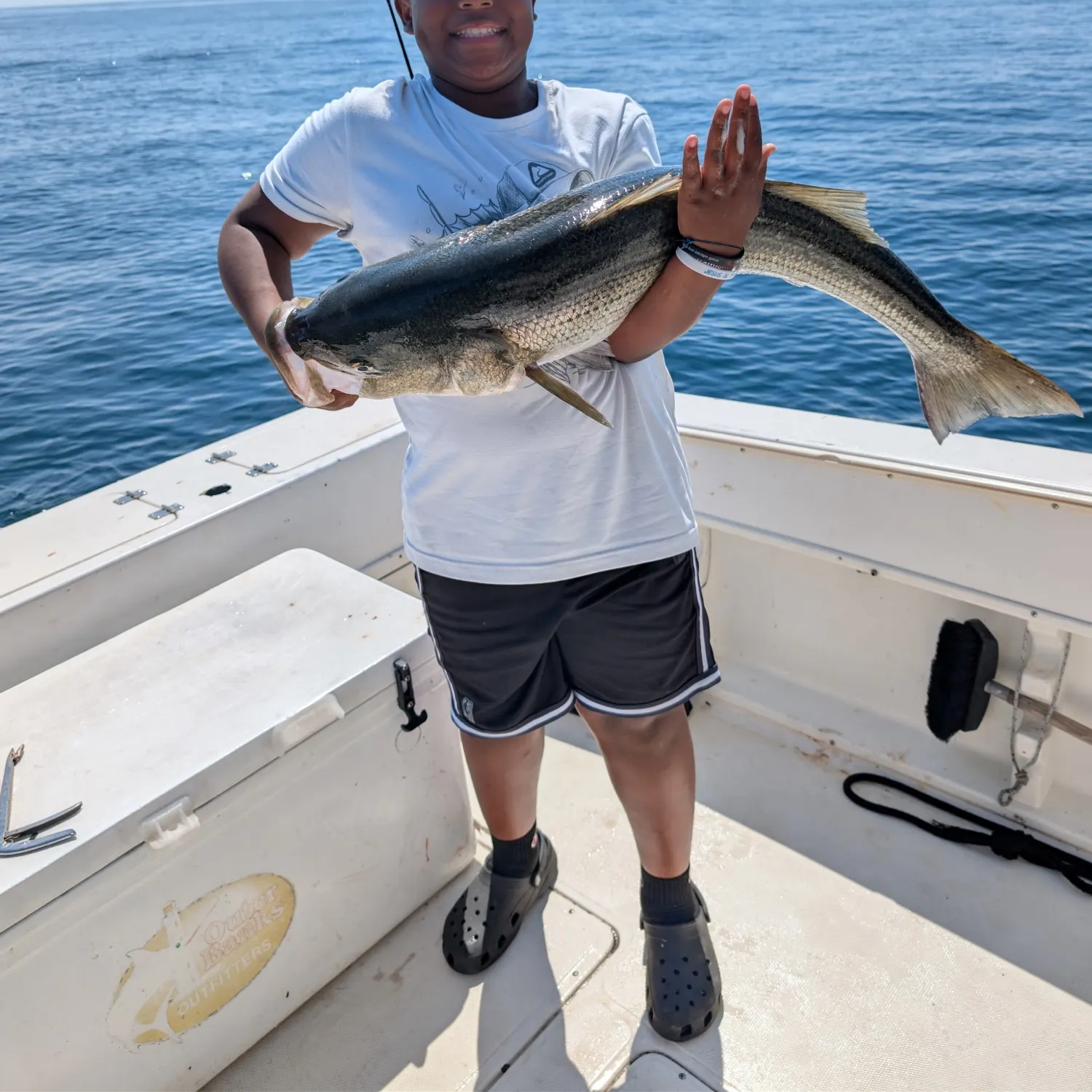 Striped bass caught on Fishbrain