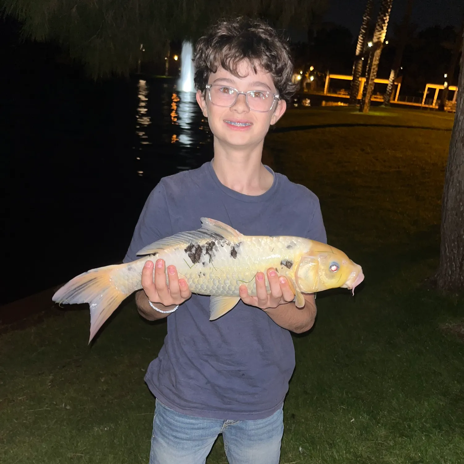 The most recent Koi carp catches on Fishbrain