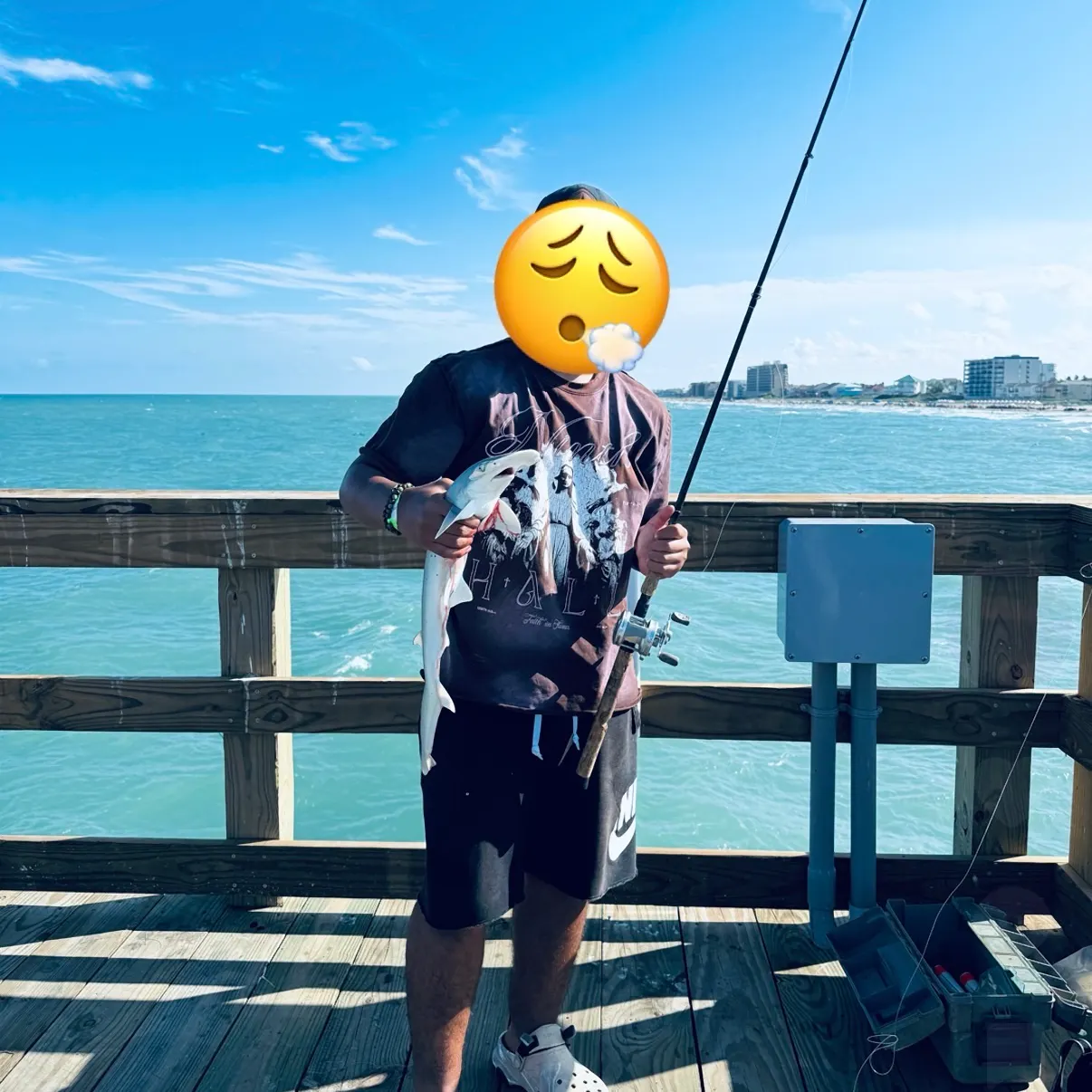 Bonnethead shark caught on Fishbrain