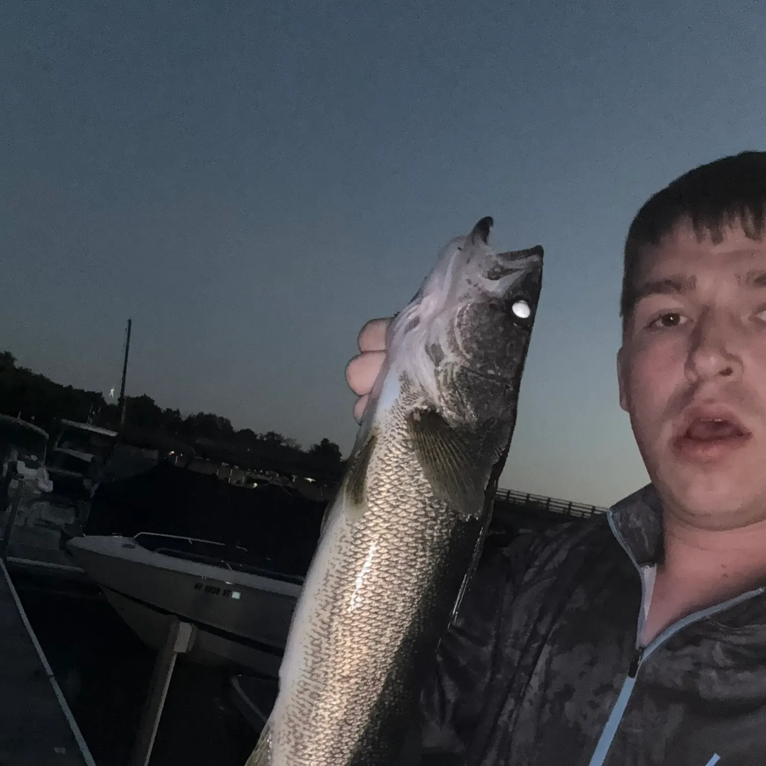 Walleye caught on Fishbrain