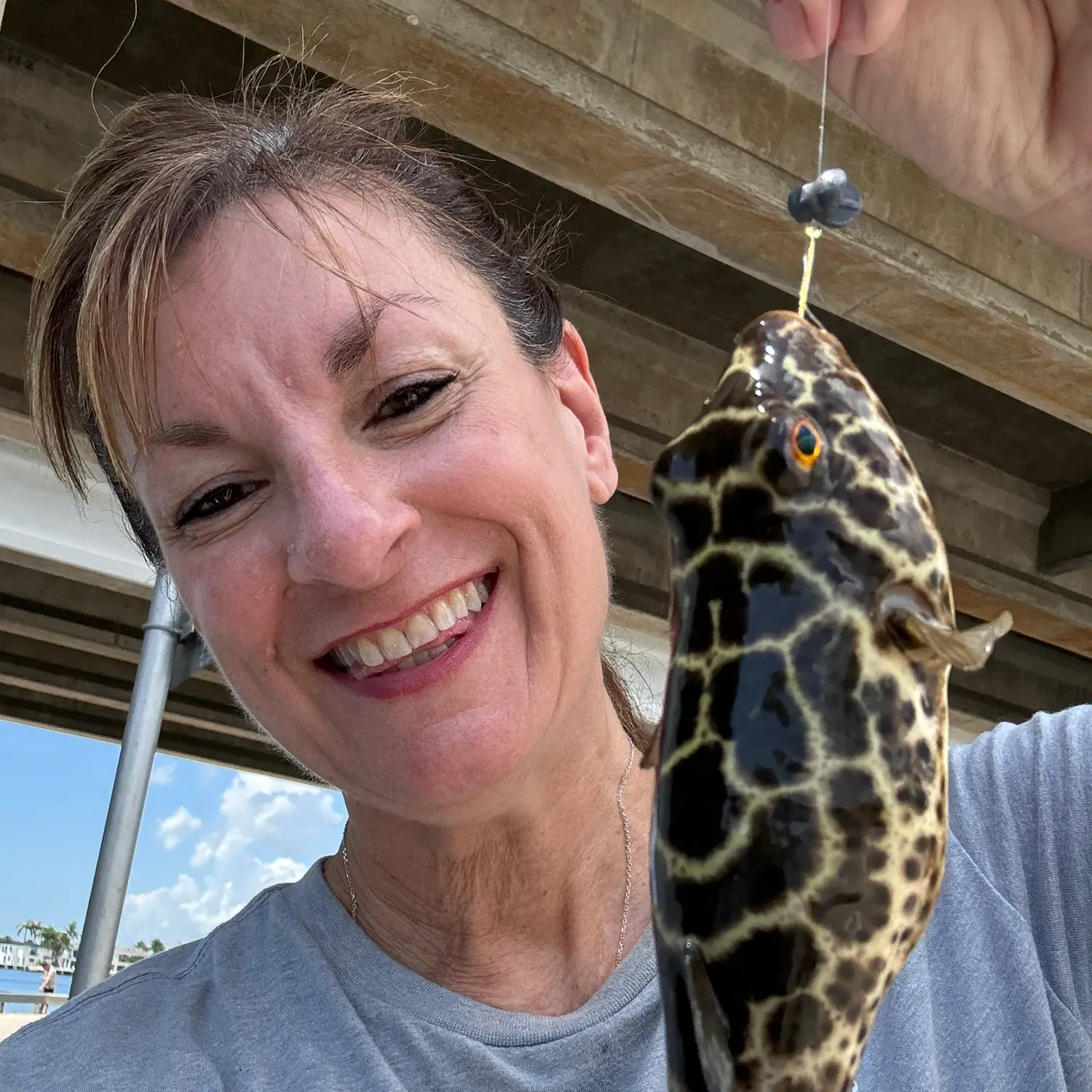 The most recent Milkspotted puffer catches on Fishbrain