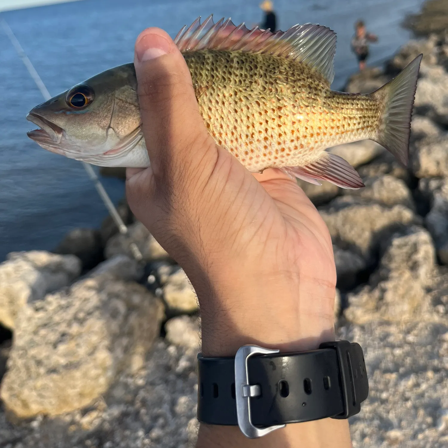 catch