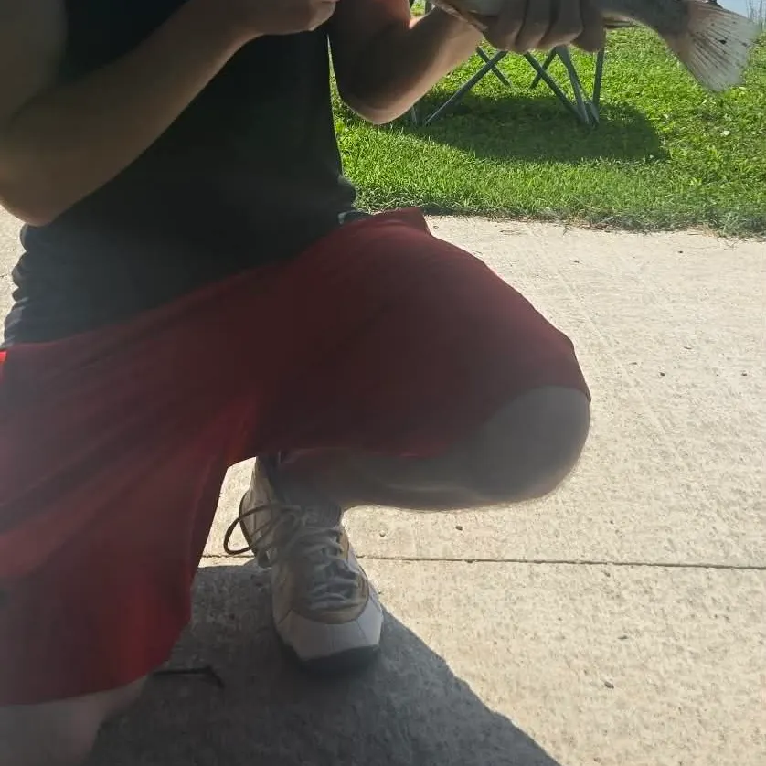 Freshwater drum caught on Fishbrain