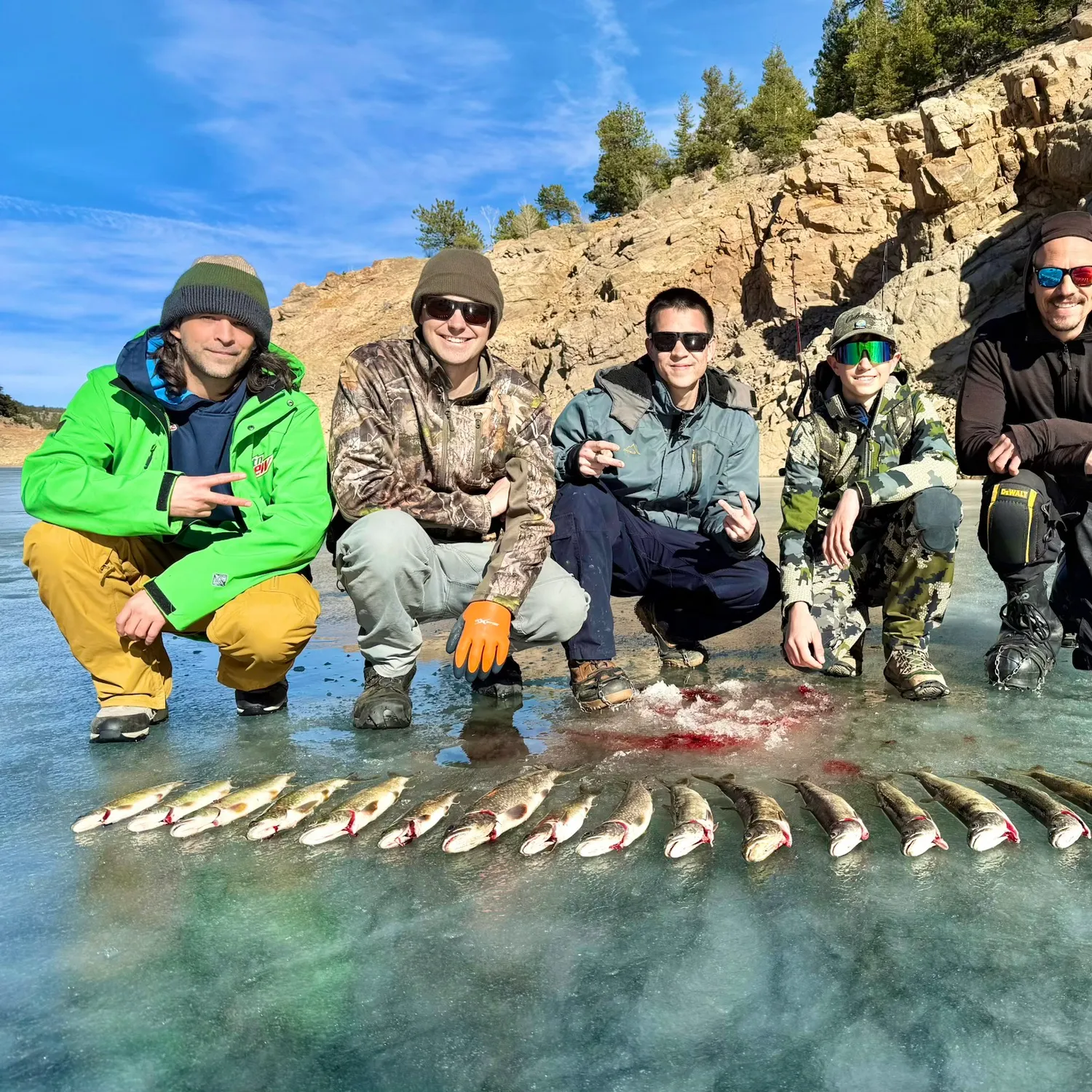 recently logged catches