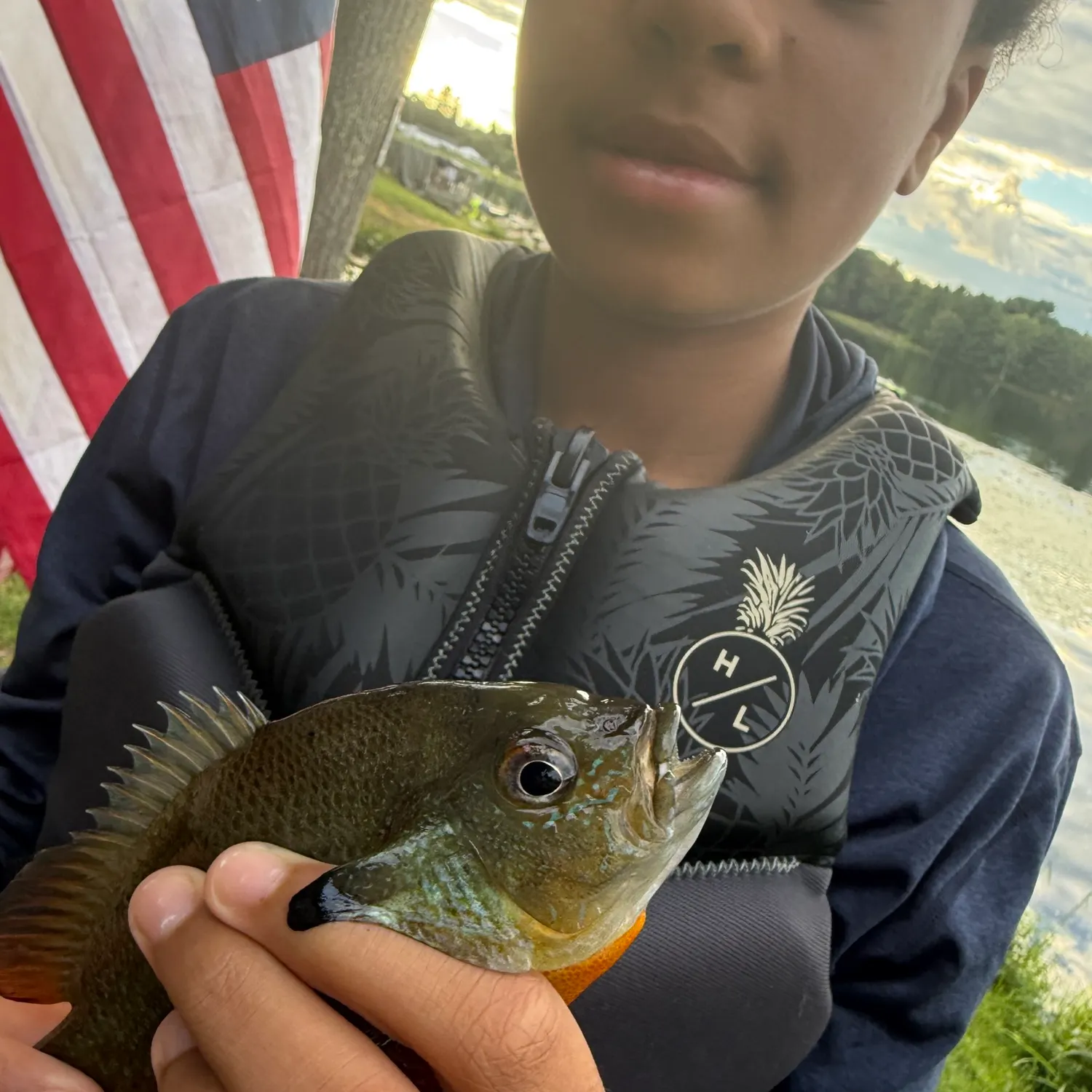 Redbreast sunfish caught on Fishbrain