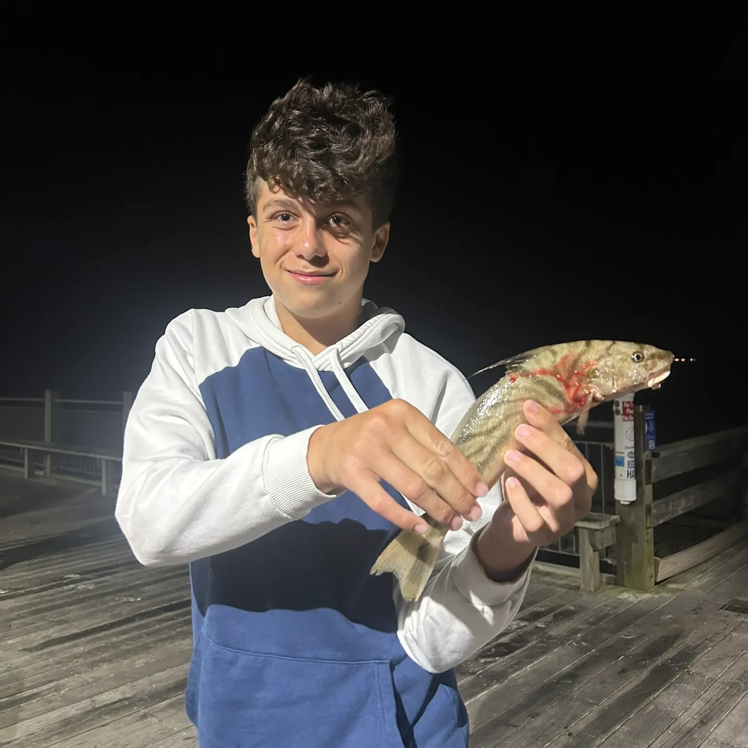 The most recent Northern kingcroaker catches on Fishbrain