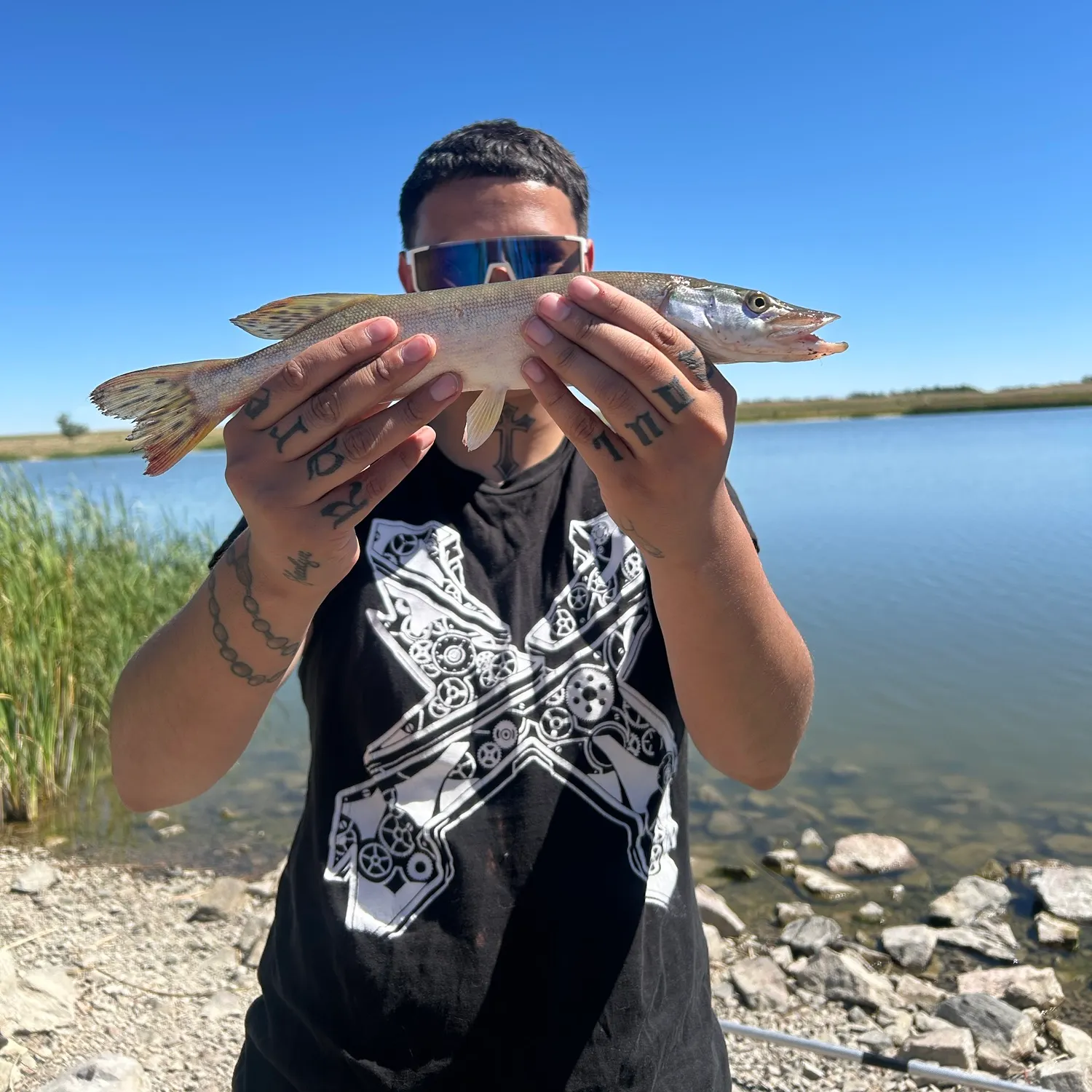 Northern pike caught on Fishbrain