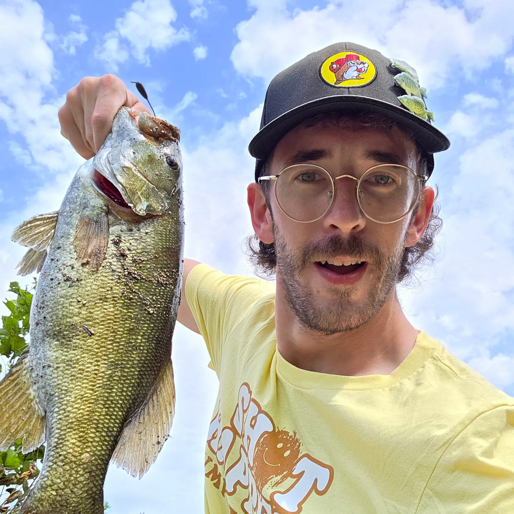 Smallmouth bass caught on Fishbrain