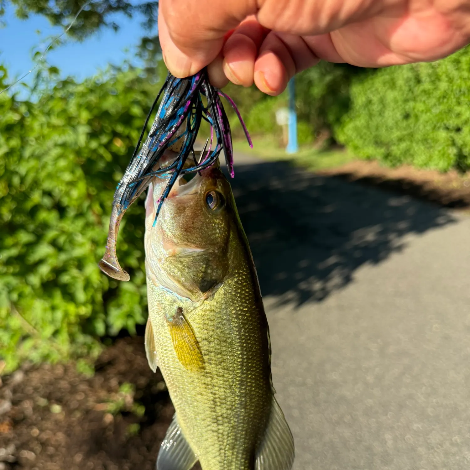 catch