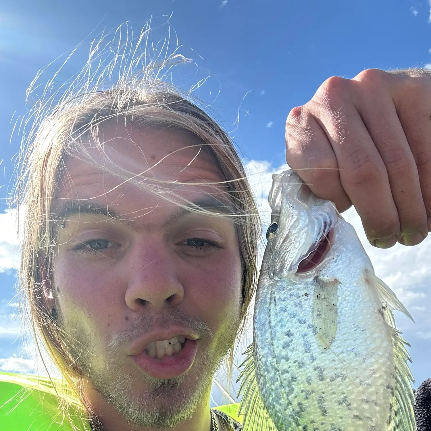 Black crappie caught on Fishbrain