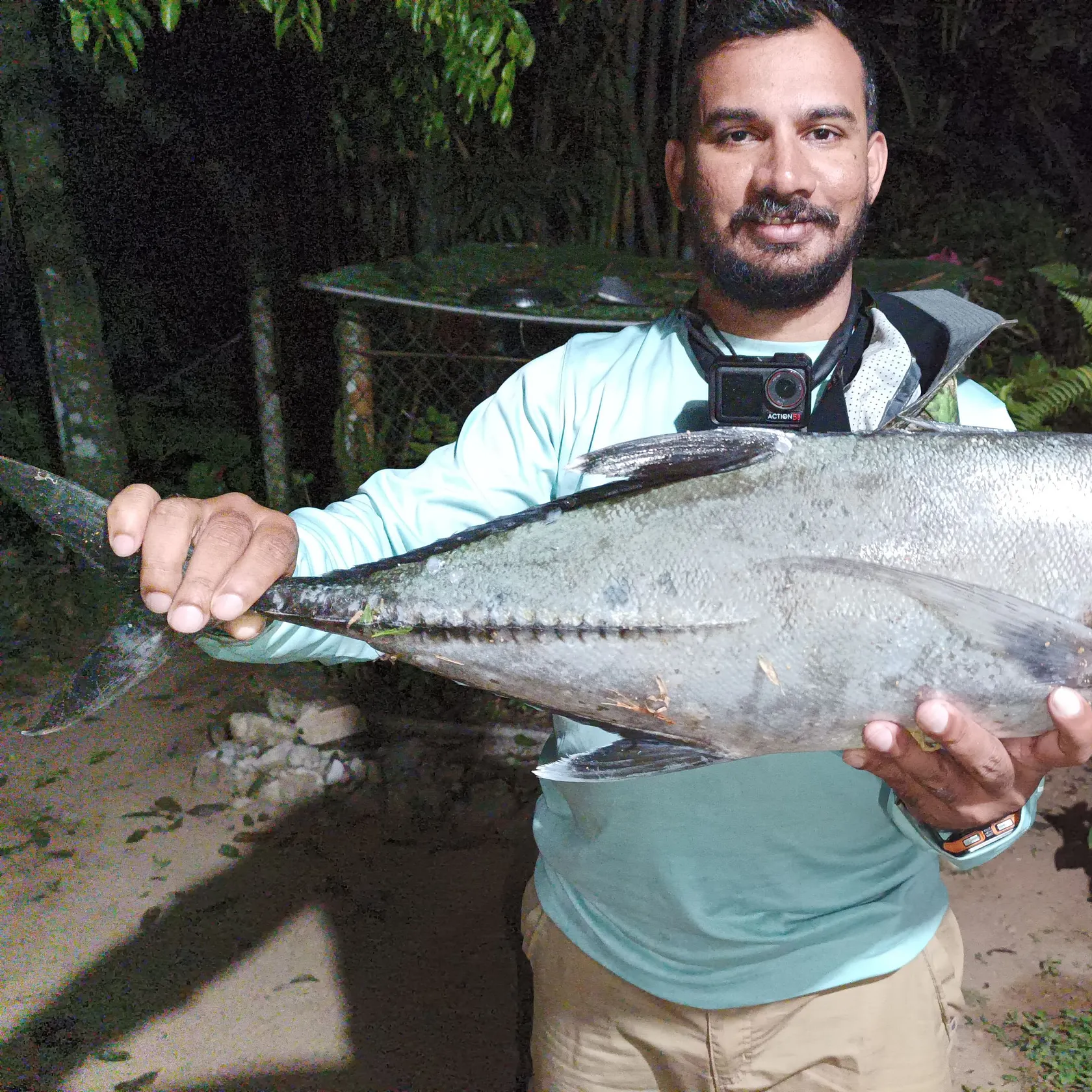 The most recent Bigeye trevally catches on Fishbrain
