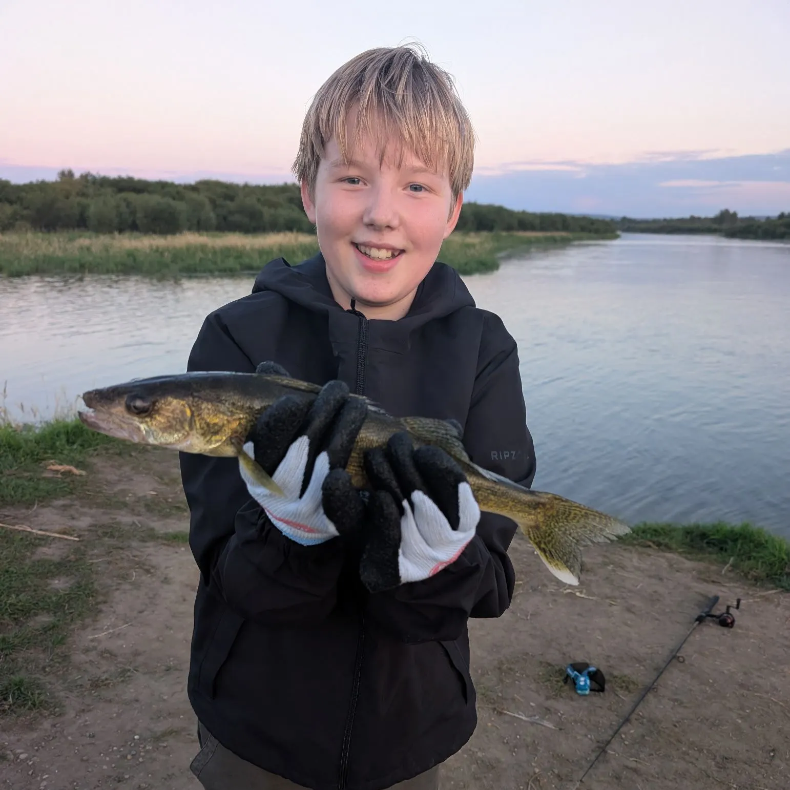 Walleye caught on Fishbrain