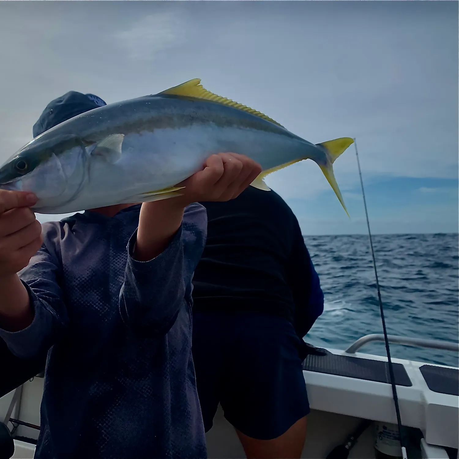 The most recent Southern yellowtail amberjack catches on Fishbrain