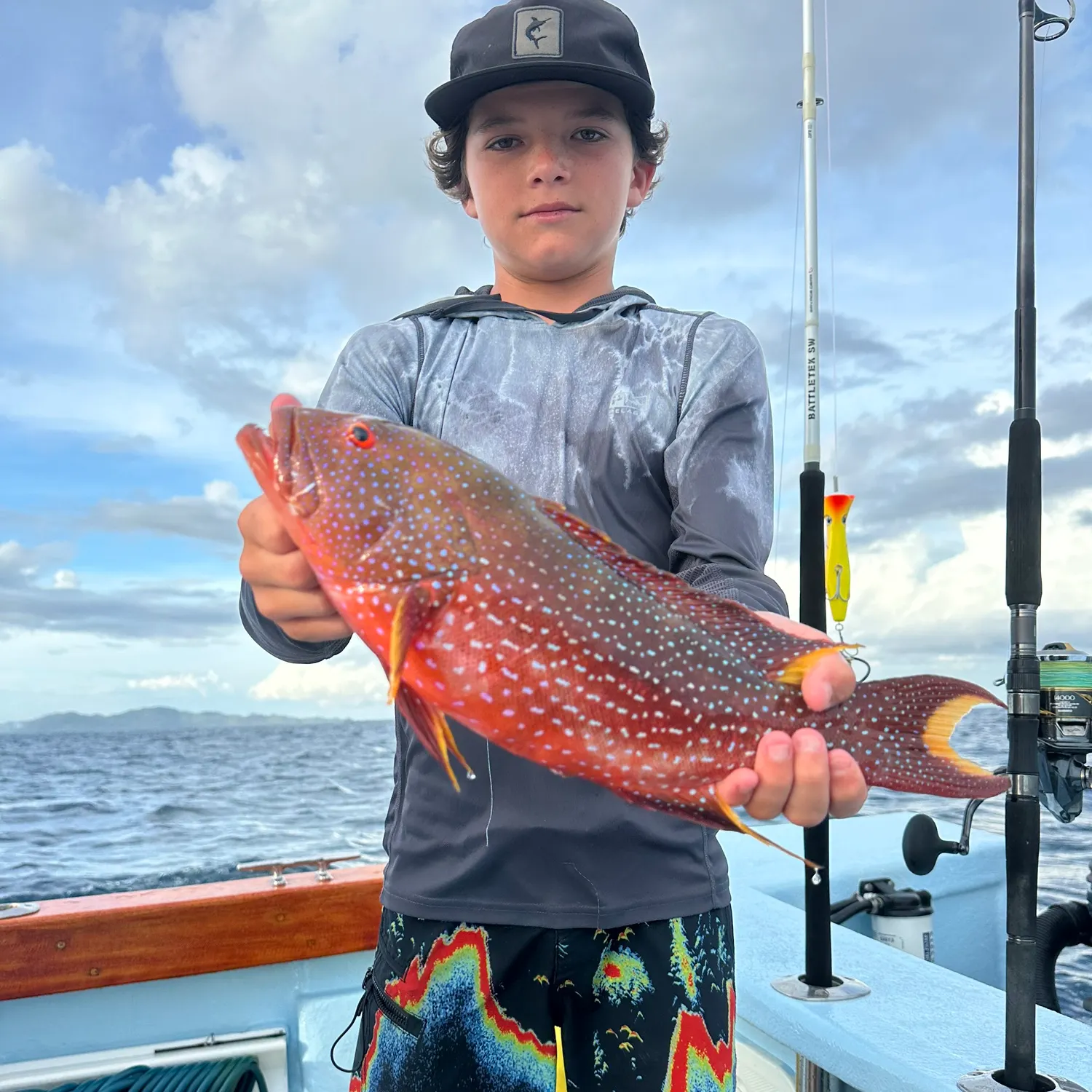 The most recent Yellow-edged lyretail catches on Fishbrain